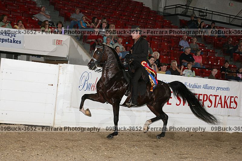 Proof 09buck-3652