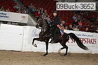 09buck-3652 proof
