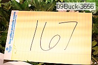 09buck-3656 proof