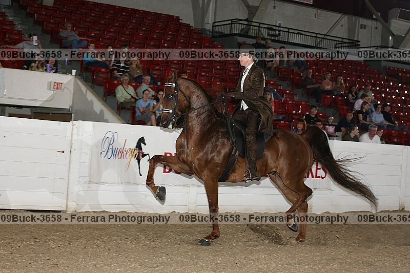 Proof 09buck-3658
