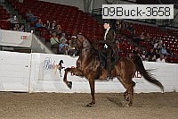 09buck-3658 proof
