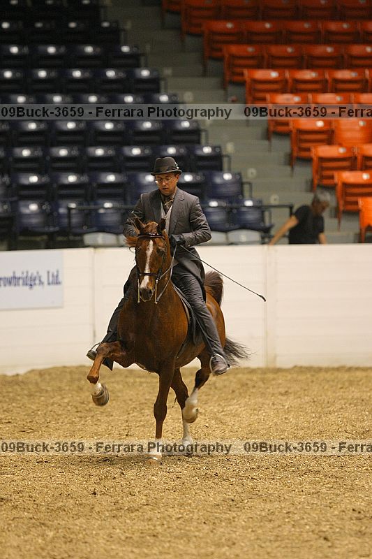Proof 09buck-3659