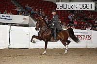 09buck-3661 proof