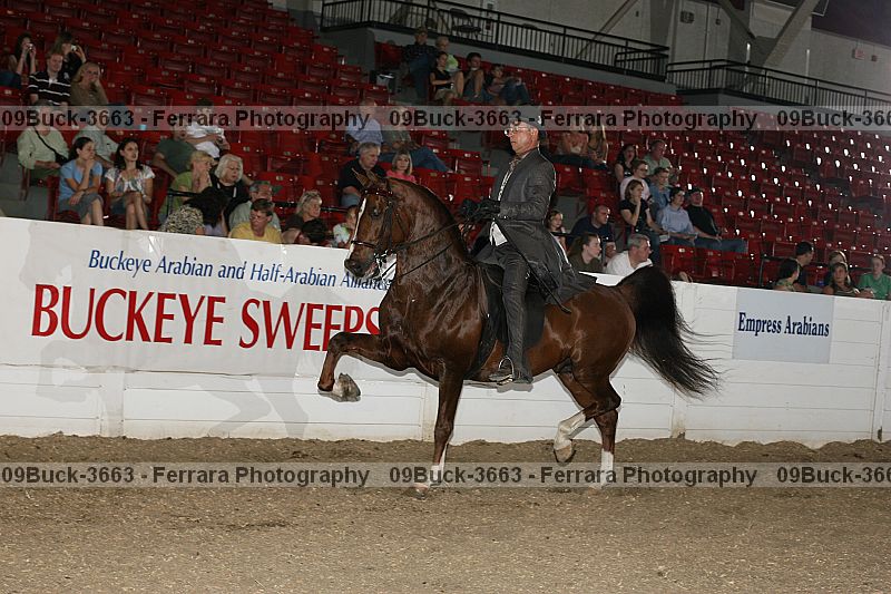 Proof 09buck-3663