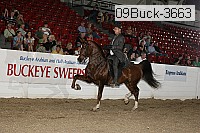 09buck-3663 proof