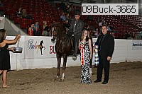 09buck-3665 proof