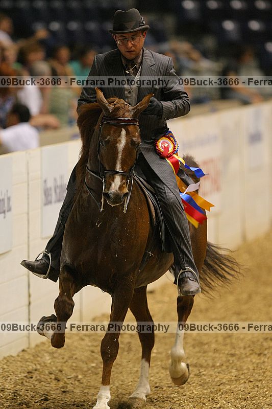 Proof 09buck-3666