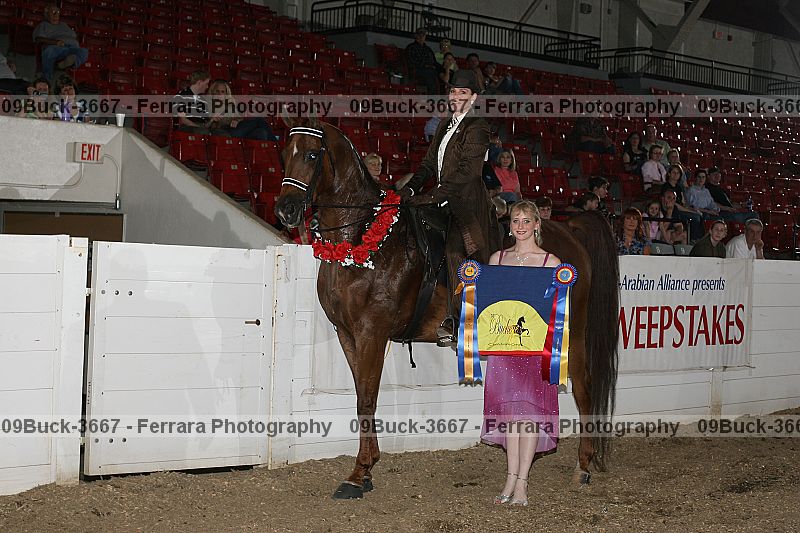 Proof 09buck-3667