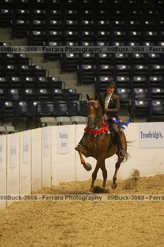 Proof 09buck-3668