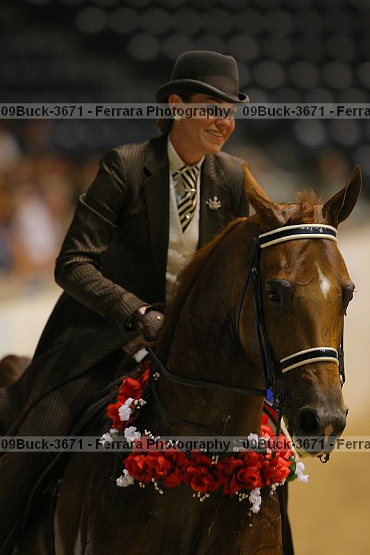 Proof 09buck-3671
