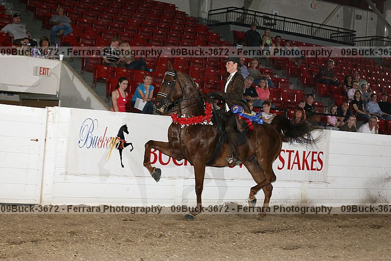 Proof 09buck-3672