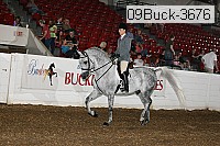 09buck-3676 proof