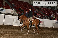 09buck-3689 proof