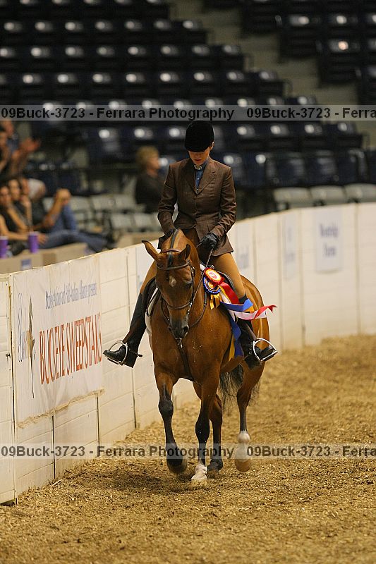 Proof 09buck-3723