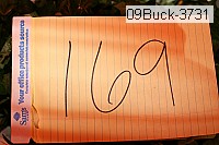 09buck-3731 proof