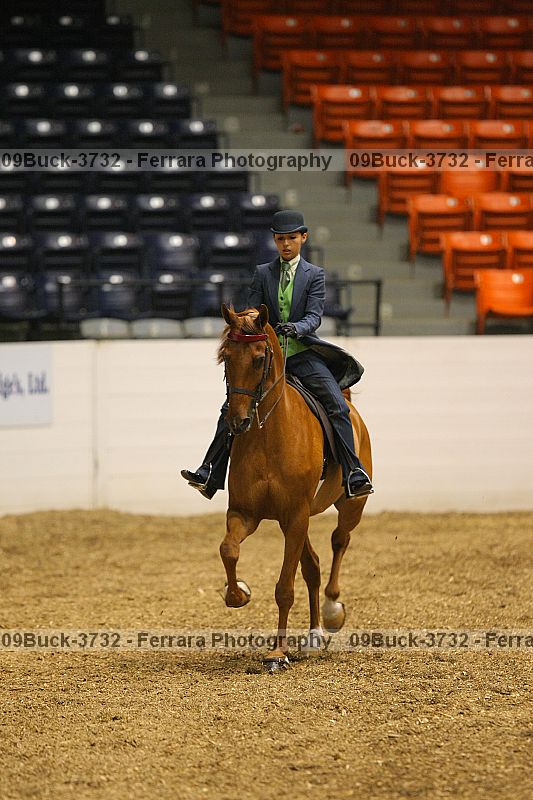 Proof 09buck-3732