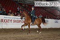 09buck-3733 proof