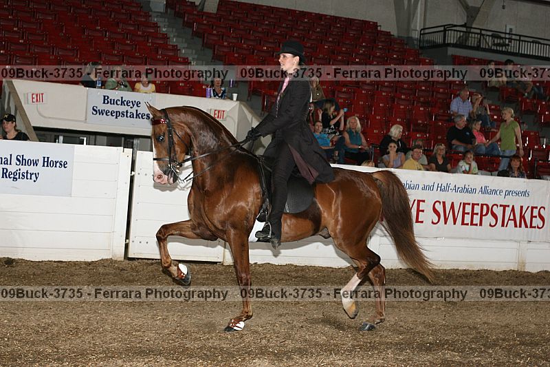 Proof 09buck-3735