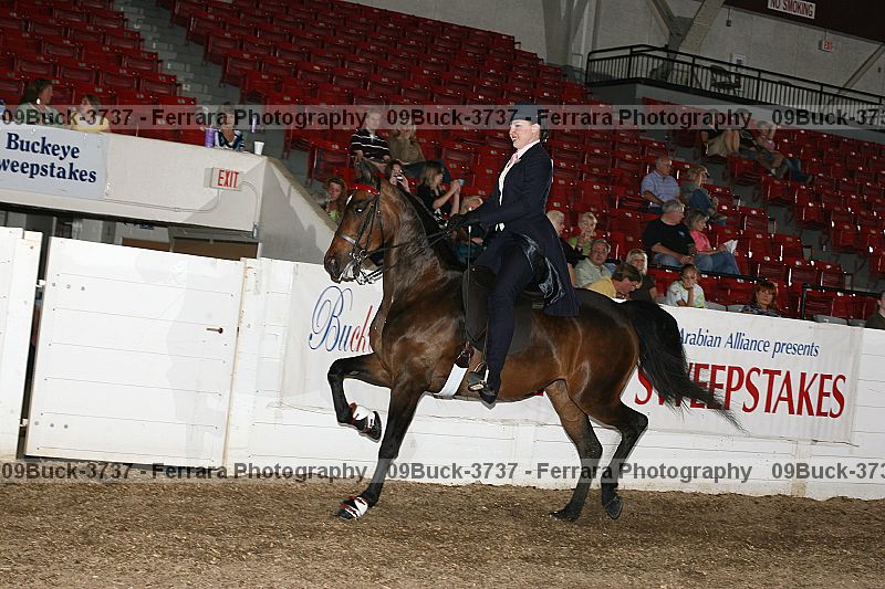 Proof 09buck-3737