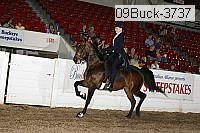 09buck-3737 proof
