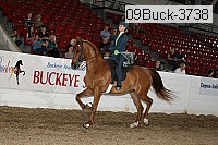 09buck-3738 proof