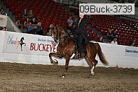 09buck-3739 proof