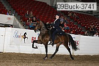 09buck-3741 proof