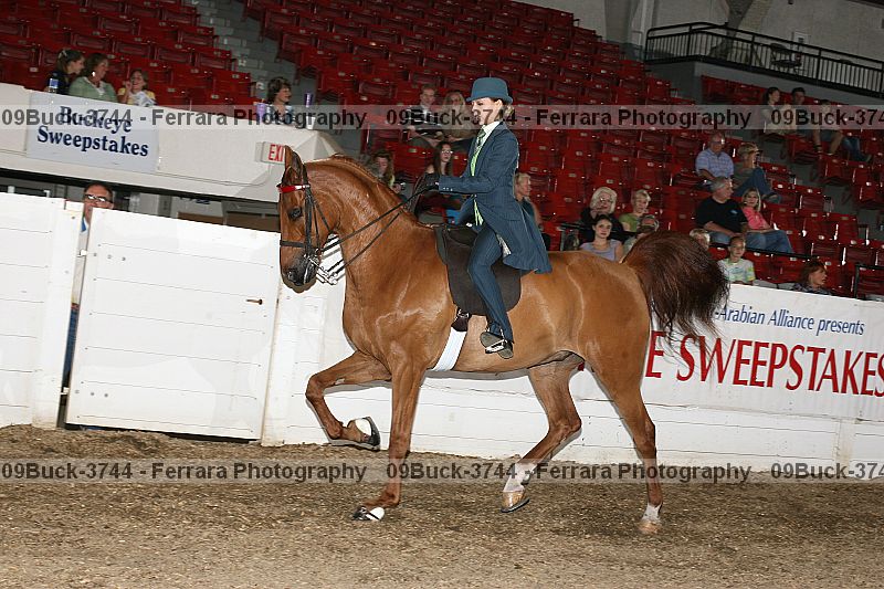 Proof 09buck-3744