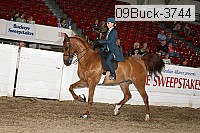 09buck-3744 proof