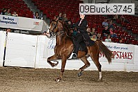 09buck-3745 proof