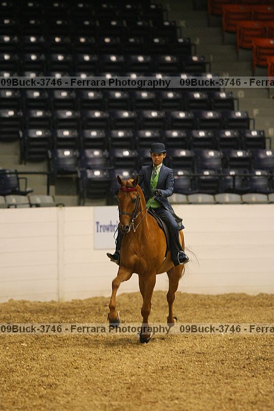 Proof 09buck-3746