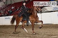 09buck-3749 proof