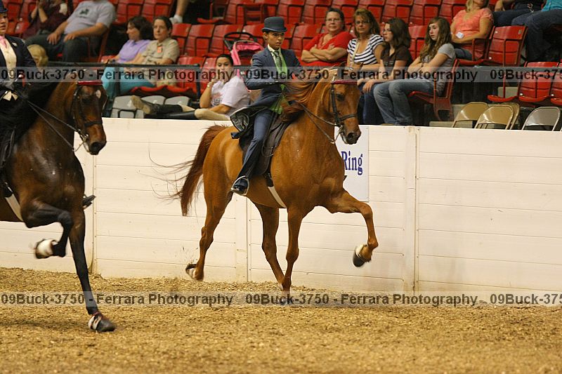 Proof 09buck-3750
