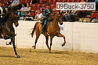 09buck-3750 proof