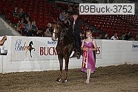 09buck-3752 proof