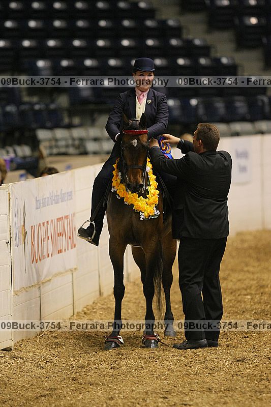 Proof 09buck-3754