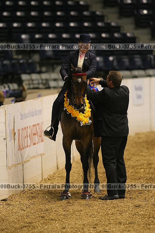 Proof 09buck-3755