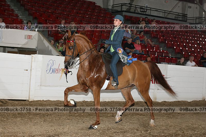 Proof 09buck-3758
