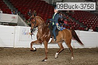 09buck-3758 proof