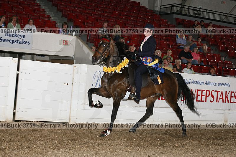 Proof 09buck-3759