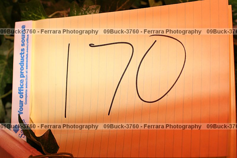 Proof 09buck-3760