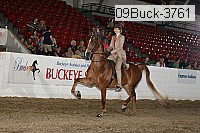 09buck-3761 proof