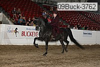 09buck-3762 proof