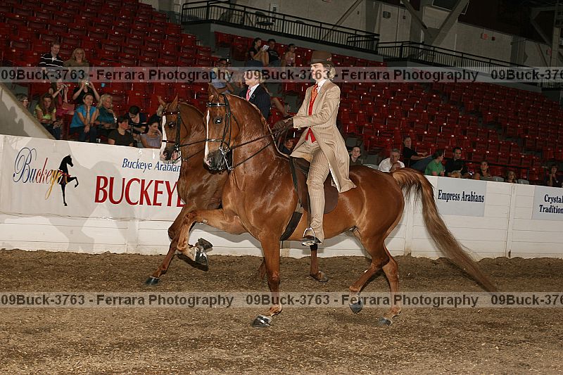 Proof 09buck-3763