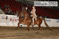 09buck-3763 proof