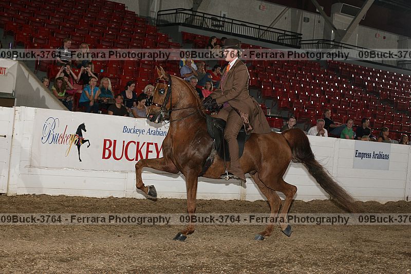 Proof 09buck-3764
