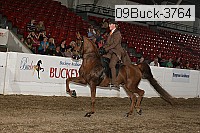 09buck-3764 proof