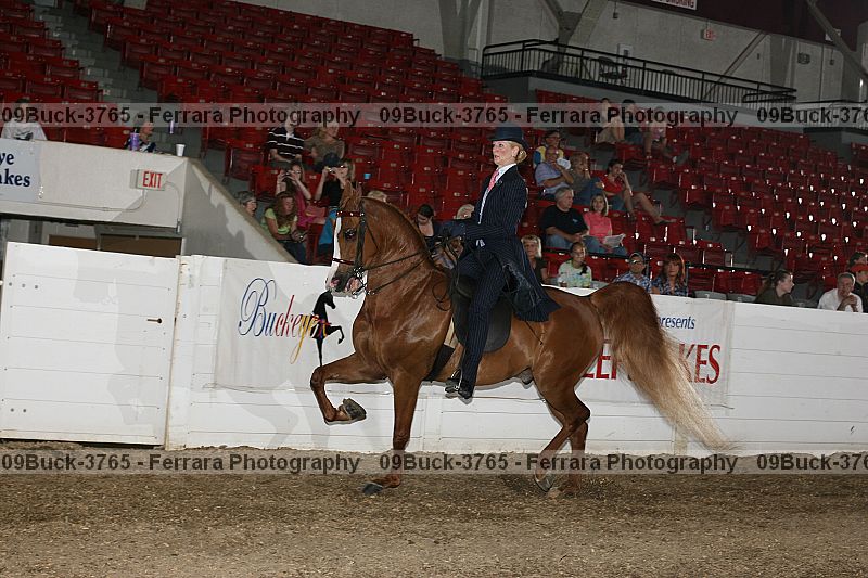 Proof 09buck-3765