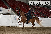 09buck-3765 proof