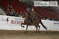 09buck-3766 proof